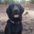 Debra Riley Gray's profile image