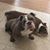Becky Lobeck's profile image