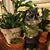 Judy J McKinney's profile image