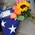 Paulette Worthen Noxon's profile image