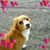 Luigi Valle's profile image