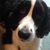 Tim Junkins's profile image