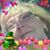 Hope Dodd's profile image