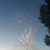Monroe Pelser's profile image