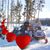 Tammy Vestal Elf's profile image