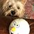 Jana Tilinger's profile image