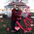 Stephanie Turnbo's profile image