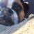 Elsie Travels's profile image