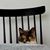 Christa Veinotte's profile image
