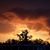 Kay Muncy's profile image