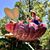 Rebecca Stover Roetzel's profile image