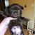Tracy Tannen's profile image