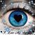 Susan Gloyn's profile image