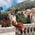 Ailana Patinho's profile image