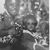 Sheddy Sunshine's profile image