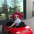 Barbara Hoskinson's profile image