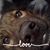 Joseph John Segreto II's profile image