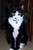 Jodi W.'s profile image