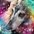 Linda Durst's profile image