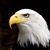 Jay R Hicks's profile image