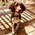 Norma Waugh's profile image