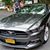 Debra Lucente-Sicuranza's profile image