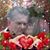 Cynthia Hall Gleason's profile image