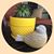 Cindy A. Fairchild's profile image