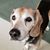 Mindy Sweeny's profile image
