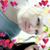 Michelle Lombardo's profile image