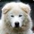 John Mouser's profile image