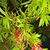 Renae Call's profile image