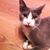 Dawn Reddell Malone's profile image