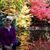 Judy Cordts's profile image