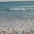 Jill Haven Van Tassel's profile image