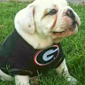 Suzan H.'s profile image