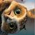 Thomasine Pursley's profile image