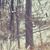 Jim Kate Ziegerer's profile image