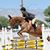 Daria Vanselow's profile image