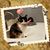 Laurie Cramer Drzewianowski's profile image