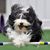 Kathy Defino's profile image