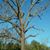 Todd Treeman Netherland's profile image