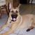 Denise Willoughby's profile image