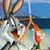 Julie Tessin's profile image