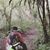 Muhammad Ilham's profile image