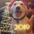 Hallie Turner Taylor's profile image