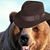 Robert Jerl Perkins's profile image
