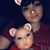 Ashleigh Jo Ann Ford's profile image