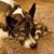 Michelle Manus Higgins's profile image