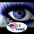 Diane Hower Capkovic's profile image